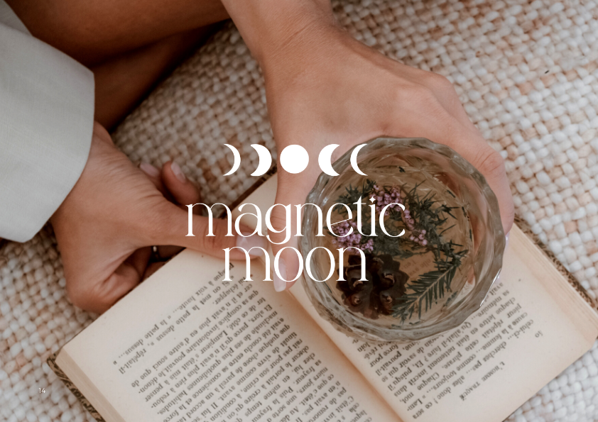 Magnetic Moon - Brand Identity Development - Secondary Logo - Marra Creative Studio